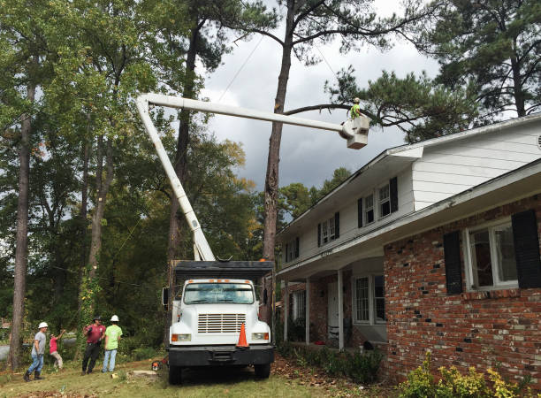 Best Weed Control  in Brunswick, GA